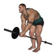 Row - Bent Over Two Arm Long Bar